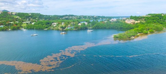 Hotel in Fort Jeudy, Grenada 2474.1m², Nr. 23 4