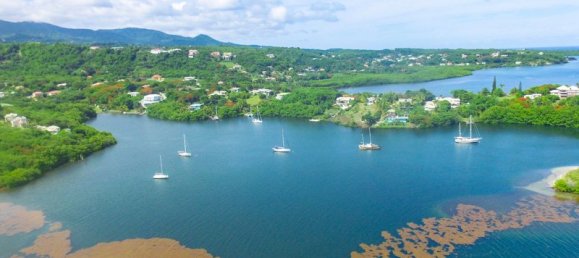 Hotel in Fort Jeudy, Grenada 2474.1m², Nr. 23 5