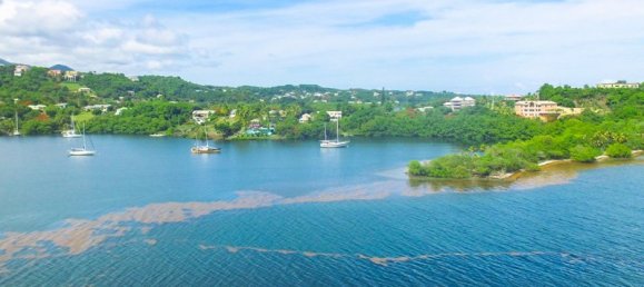 Hotel in Fort Jeudy, Grenada 2474.1m², Nr. 23 6