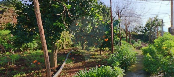 3 bedrooms House in Maia, Portugal No. 187688 5