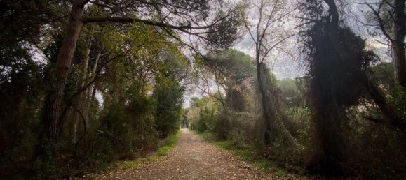 4غرفة منزل ذو طابقين في Rosignano Marittimo, Italy رقم 48404 33