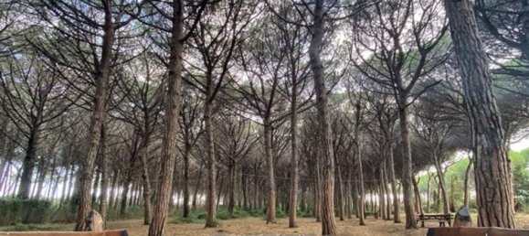 4غرفة منزل ذو طابقين في Rosignano Marittimo, Italy رقم 48404 34