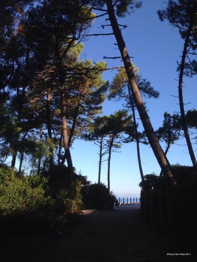 4غرفة منزل ذو طابقين في Rosignano Marittimo, Italy رقم 48404