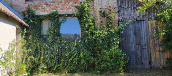 Casa de 4 habitaciónes en Wildendurnbach, Austria No. 221078 8