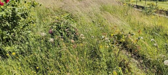 Земельный участок 630м² в Нёфшеф, Франция № 268622 2