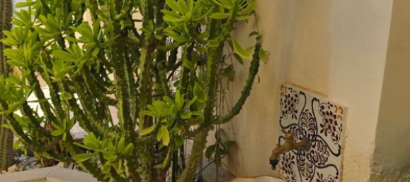 4 rooms Apartment in Marsala, Italy No. 280327 18