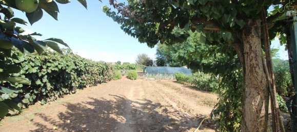 4 bedrooms Villa in Conzano, Italy No. 318631 13