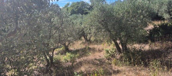  Land in Les Mees, France No. 328138 2