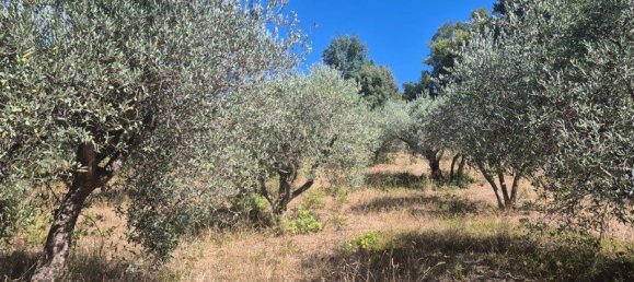  Land in Les Mees, France No. 328138 3