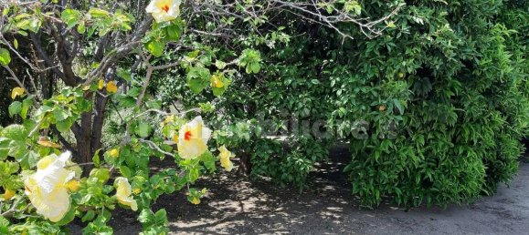 3 bedrooms Villa in Messina, Italy No. 147056 32