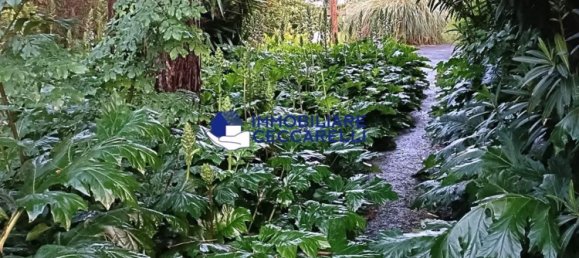 8-salle Villa à Massa, Italy No. 49407 26