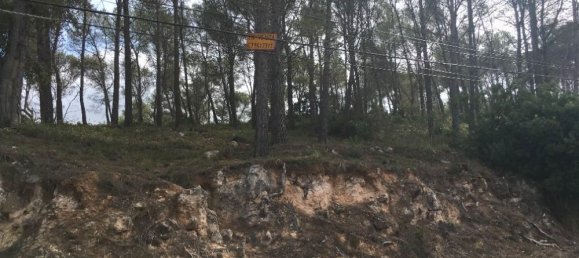 Terreno en Barcelona, Spain 568 m² No. 157366 4