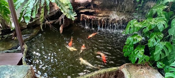 3 bedrooms Cafe / restaurant in Chiang Mai, Thailand No. 23319 19