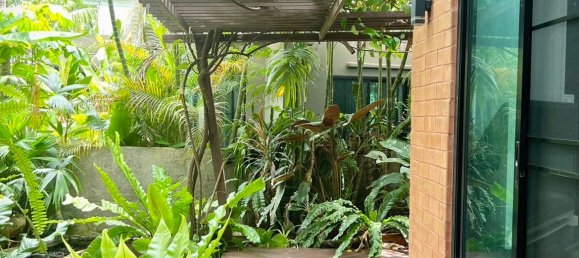 3 bedrooms Cafe / restaurant in Chiang Mai, Thailand No. 23319 21