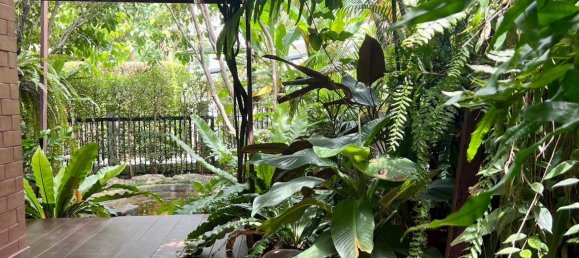 3 bedrooms Cafe / restaurant in Chiang Mai, Thailand No. 23319 17