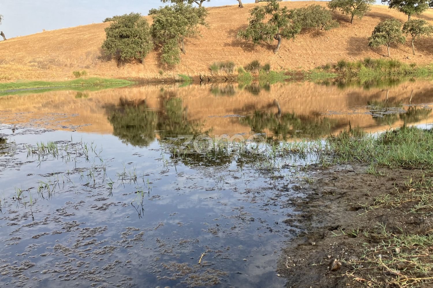 Grundstück in Cabeca Gorda, Portugal, Nr. 331222
