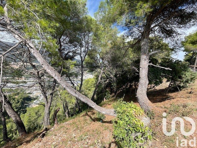 Земельный участок 7070м² в Коломар, Франция № 100321