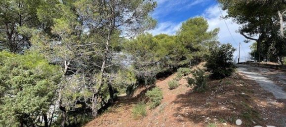 Земельный участок 7070м² в Коломар, Франция № 100321 5