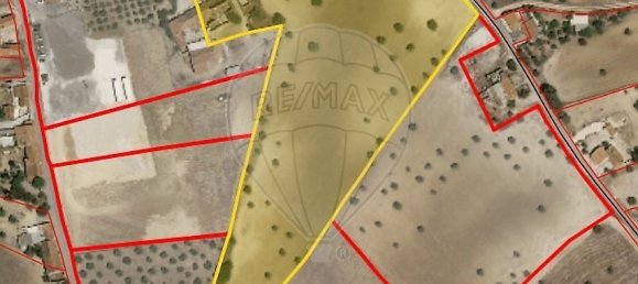 3 bedrooms House in Santarem, Portugal No. 176796 14