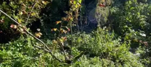 3 bedrooms Townhouse in Esslingen, Germany No. 352790 24