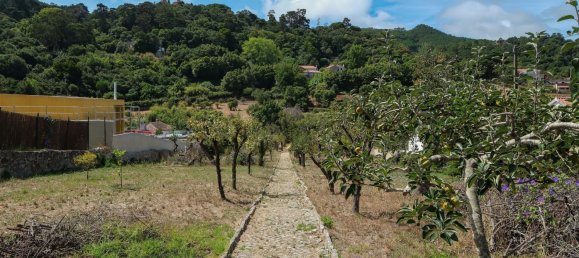 4 Schlafzimmer Villa in Sintra, Portugal, Nr. 213503 36
