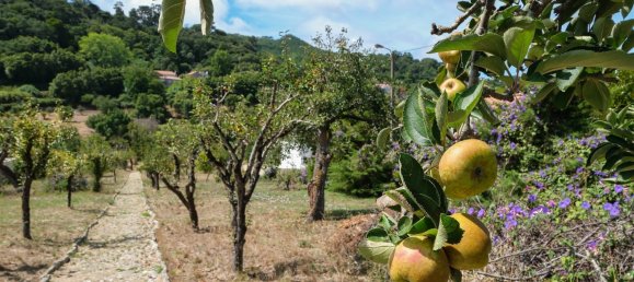 4 Schlafzimmer Villa in Sintra, Portugal, Nr. 213503 38