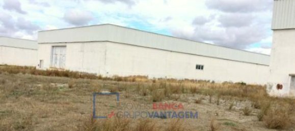 99999m² Building in Moura, Portugal No. 32055 14
