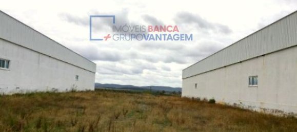 99999m² Building in Moura, Portugal No. 32055 18