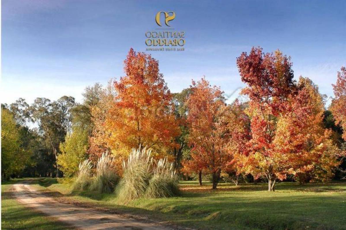  Land in Buenos Aires, Argentina No. 115410