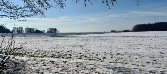 7 rooms Townhouse in Teltow-Flaming, Germany No. 25543 18