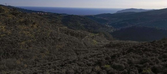 11 rooms House in Villa Faraldi, Italy No. 163494 31