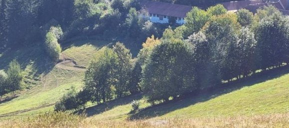 Casa de 11 habitaciónes en St. Leonhard bei Freistadt, Austria No. 241829 4