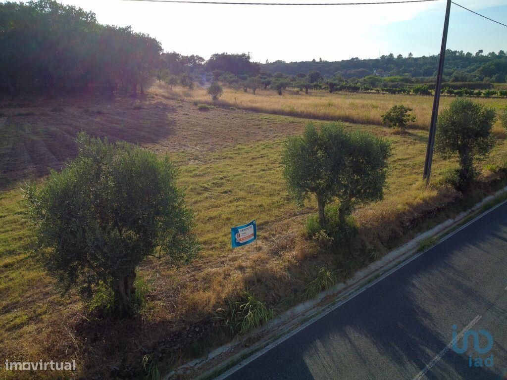  قطعة أرض في Ferreira do Zezere, Portugal 7560متر مربع رقم 254811