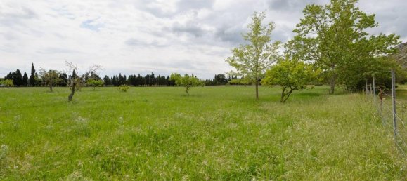 11 bedrooms House in Pollenca, Spain No. 30641 5