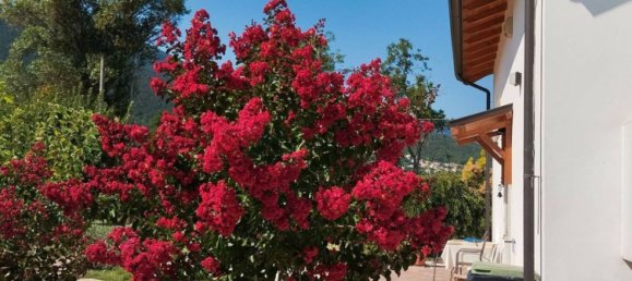 3 rooms Villa in Bugnara, Italy No. 280064 31