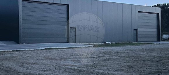 5 غرف نوم منزل في Bornes de Aguiar, Portugal رقم 174729 7