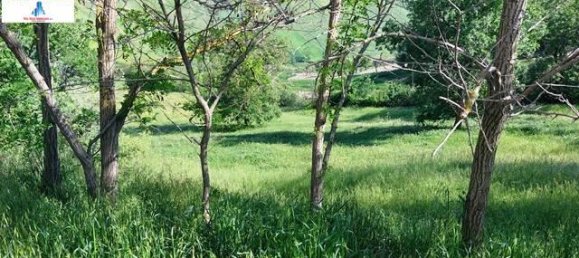 4-Zimmer Haus in Ariano Irpino, Italy, Nr. 111238 23