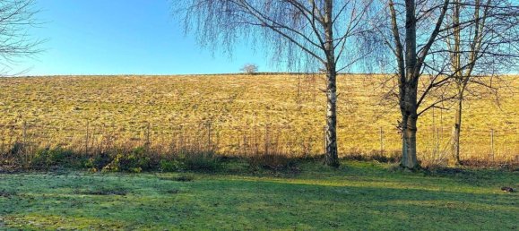 6-salle Maison à Neuhofen an der Krems, Austria No. 188899 11