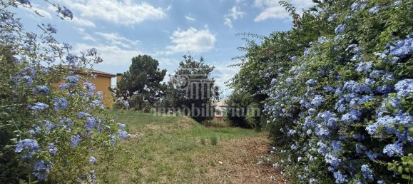 Terrain à Blanes, Spain 505m² No. 184604 23