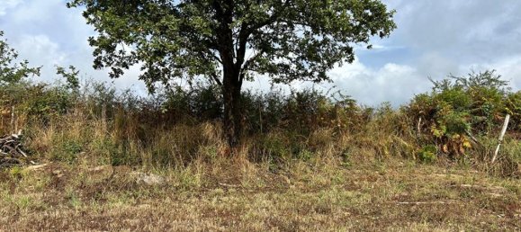 Terreno en Vue, France No. 284050 3