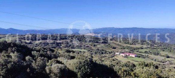 3غرفة منزل في Sant'Antonio di Gallura, Italy رقم 149800 49