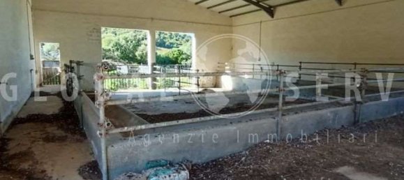 3غرفة منزل في Sant'Antonio di Gallura, Italy رقم 149800 3