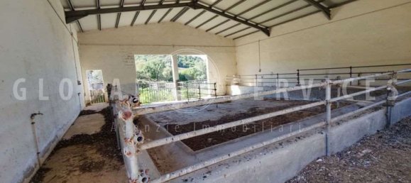 3غرفة منزل في Sant'Antonio di Gallura, Italy رقم 149800 33