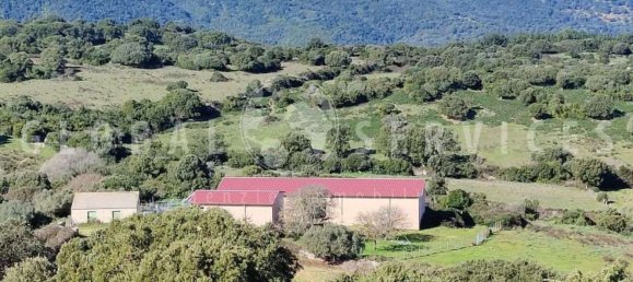 3غرفة منزل في Sant'Antonio di Gallura, Italy رقم 149800 43