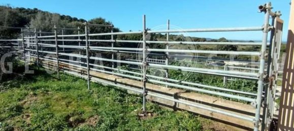 3غرفة منزل في Sant'Antonio di Gallura, Italy رقم 149800 20