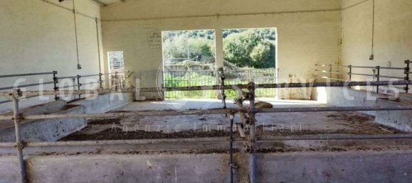 3غرفة منزل في Sant'Antonio di Gallura, Italy رقم 149800 35