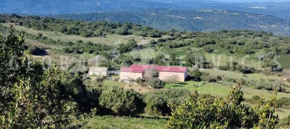 3غرفة منزل في Sant'Antonio di Gallura, Italy رقم 149800 4