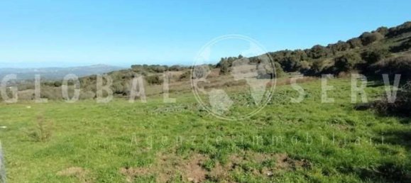 3غرفة منزل في Sant'Antonio di Gallura, Italy رقم 149800 12