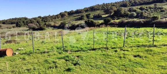 3غرفة منزل في Sant'Antonio di Gallura, Italy رقم 149800 37