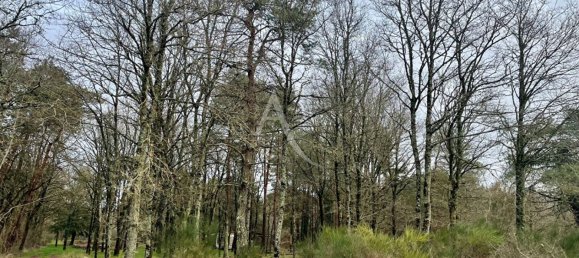 Terreno en Villefranche-sur-Cher, France 5081 m² No. 85566 2